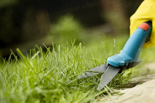 Zahradnické služby