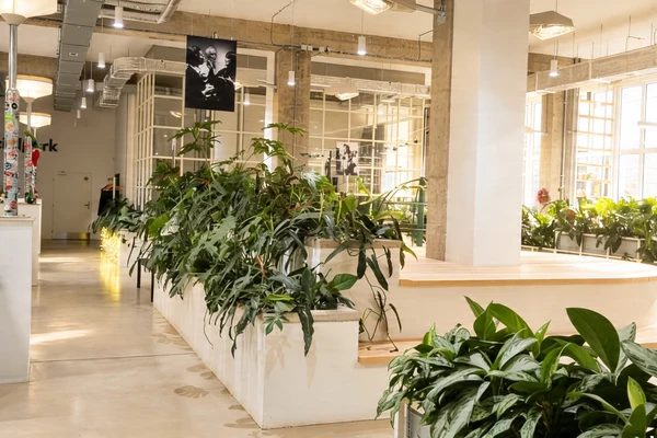 Open space kanceláře socialpark po profesionálním úklidu kancelářských prostor