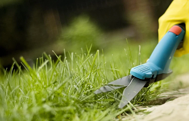 Sezónní zahradní práce od profíků